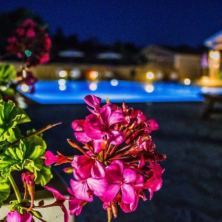 Astrakeri Astrakeroula Corfu 아파트 외부 사진